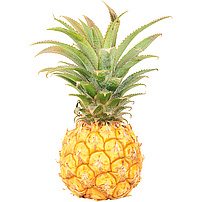 Bebi ananas